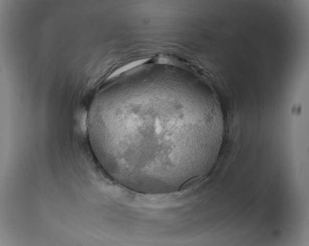 X0000111210041200907151448