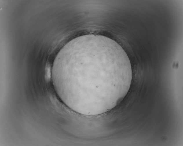 X0000111210042200907151448