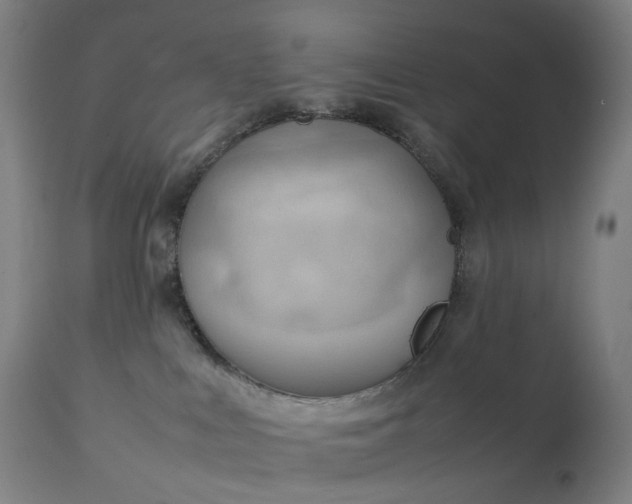 X0000111210043200907151448