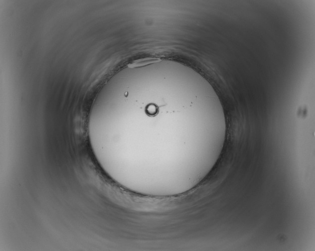 X0000111210044200907151448