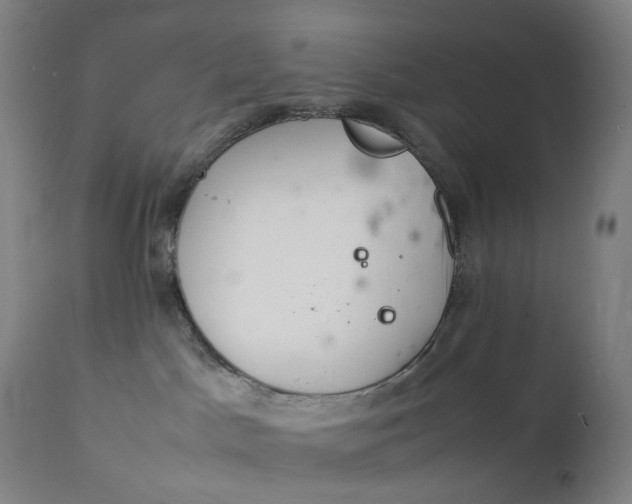 X0000111210045200907151447