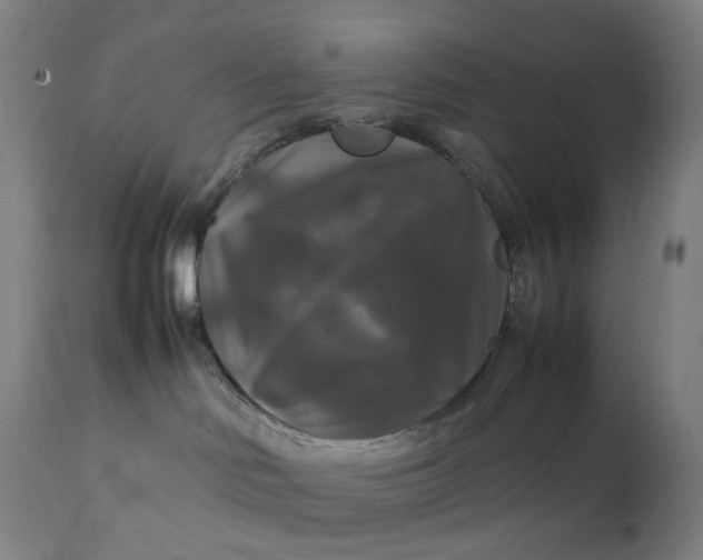 X0000111210046200907151447