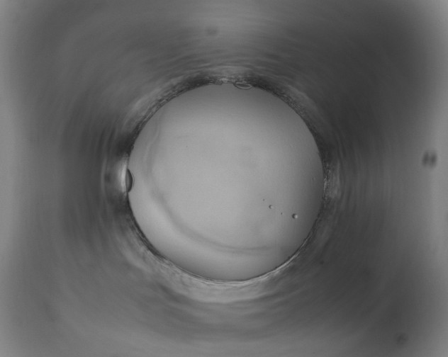 X0000111210047200907151447