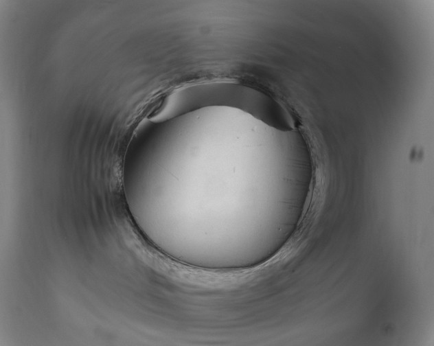 X0000111210048200907151447