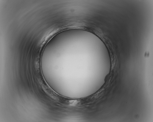 X0000111210050200907151447