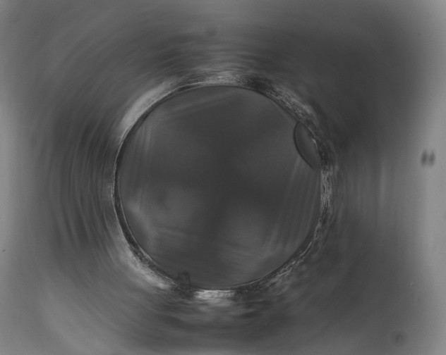 X0000111210051200907151447