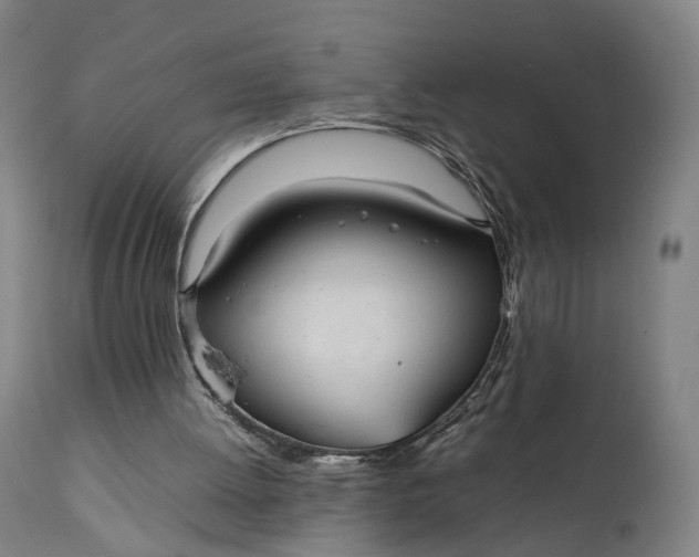 X0000111210052200907151447