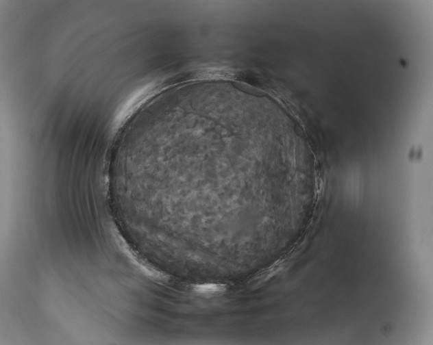 X0000111210053200907151447