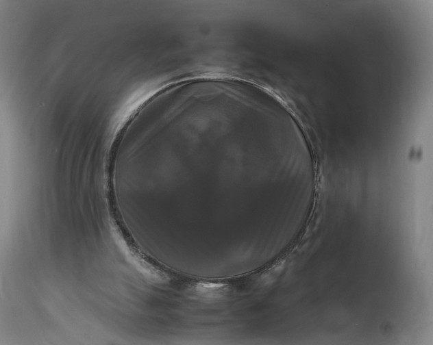 X0000111210055200907151447