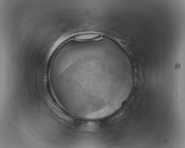 X0000111210056200907151447