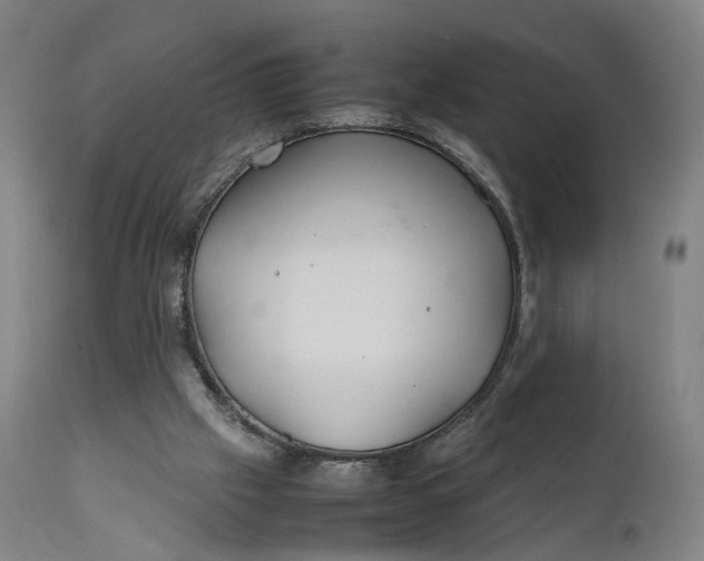 X0000111210057200907151447