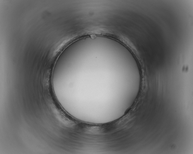 X0000111210058200907151447