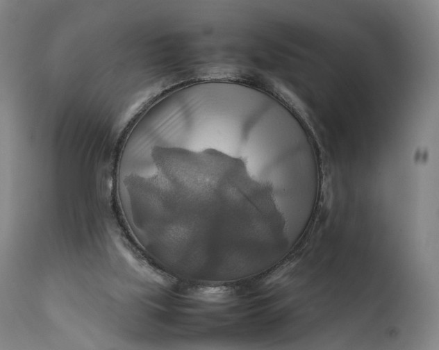 X0000111210059200907151447