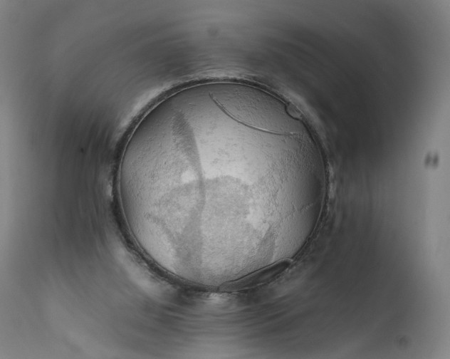 X0000111210060200907151447