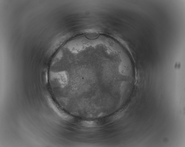 X0000111210061200907151447