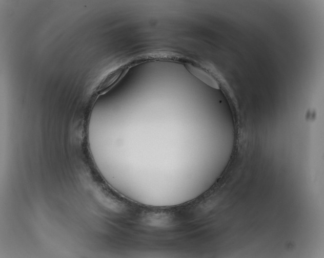 X0000111210063200907151447