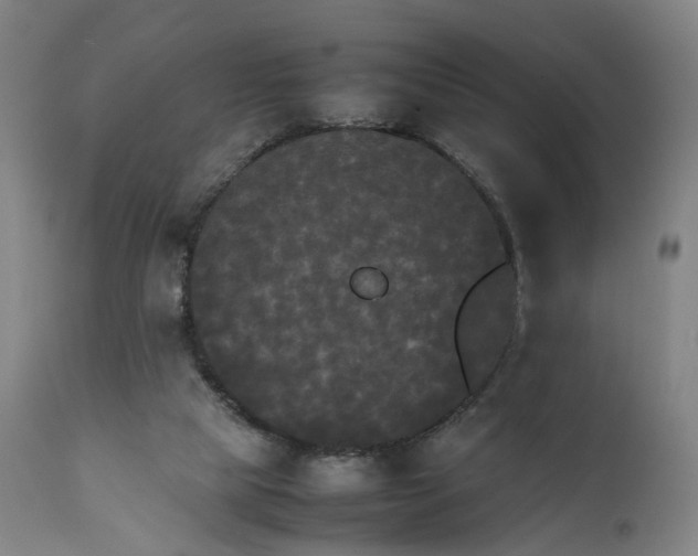 X0000111210065200907151447