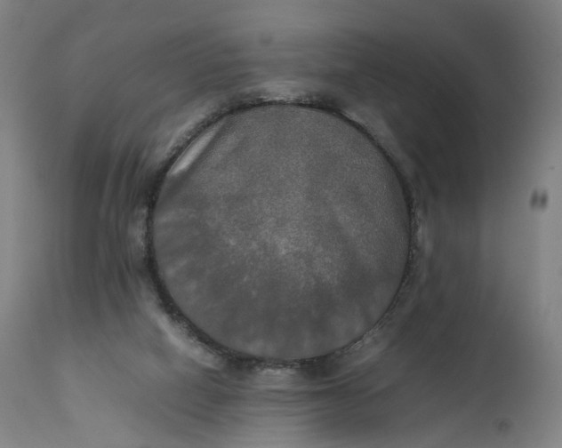 X0000111210066200907151447