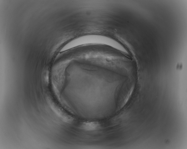 X0000111210067200907151447