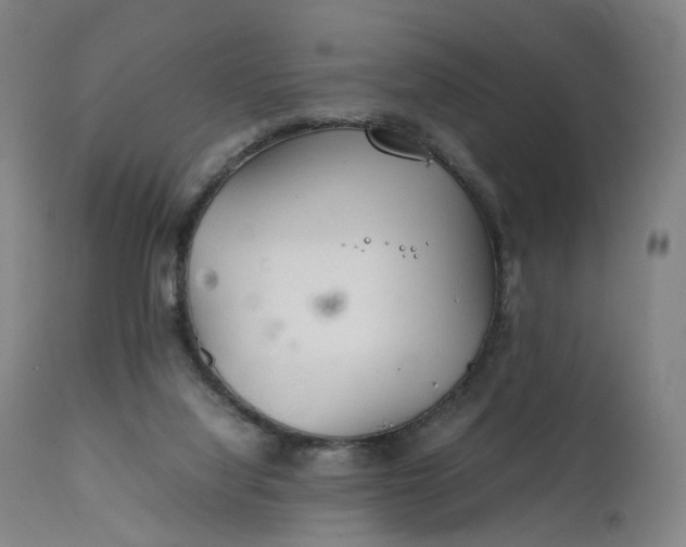 X0000111210068200907151447