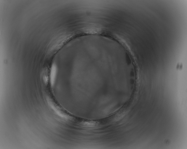 X0000111210069200907151447