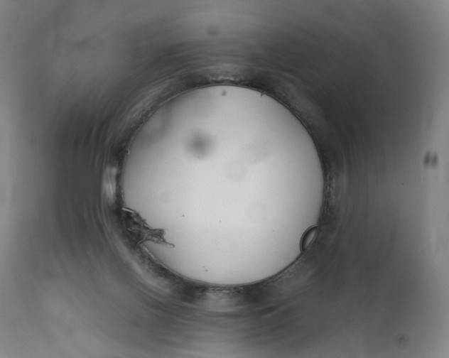 X0000111210070200907151447