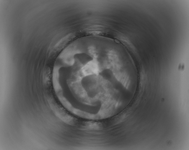 X0000111210073200907151447