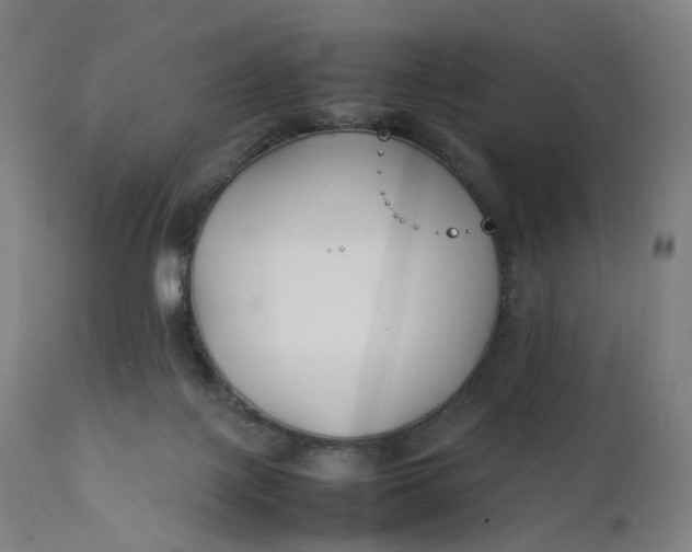 X0000111210075200907151447