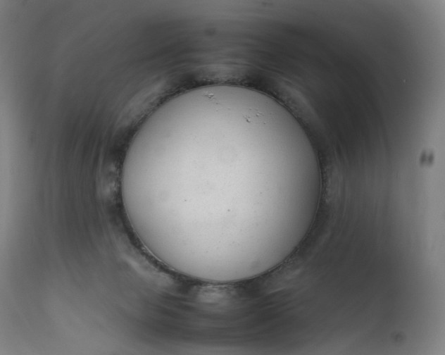 X0000111210077200907151447