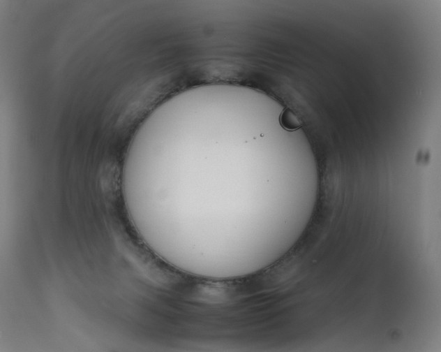 X0000111210079200907151447