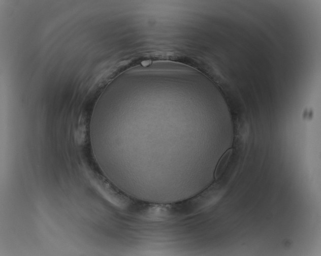 X0000111210080200907151447