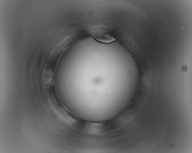 X0000111210081200907151447