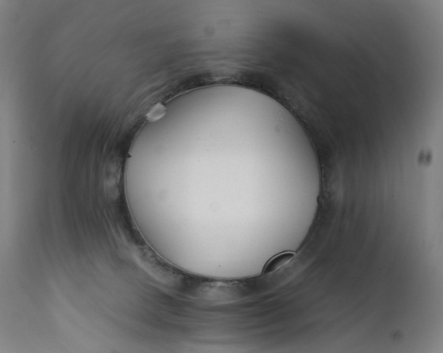 X0000111210082200907151447