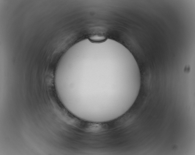 X0000111210083200907151447