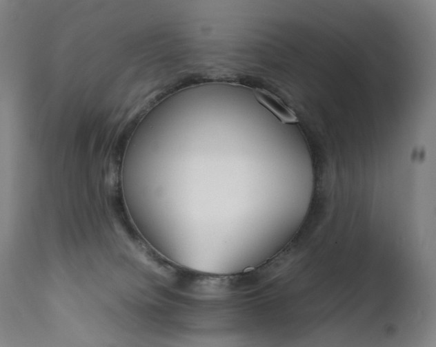 X0000111210084200907151447