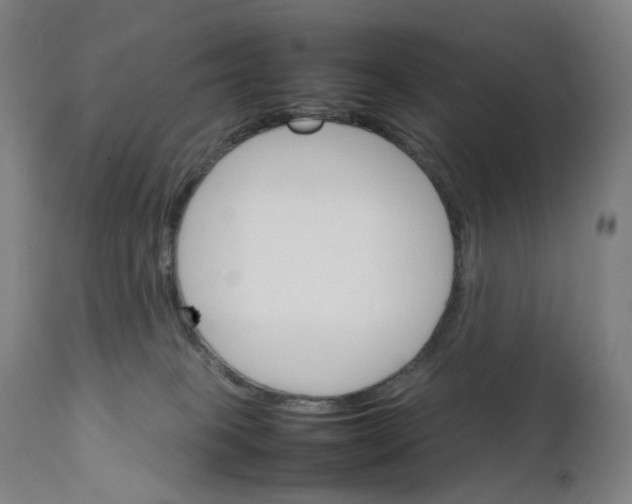 X0000111210085200907151447