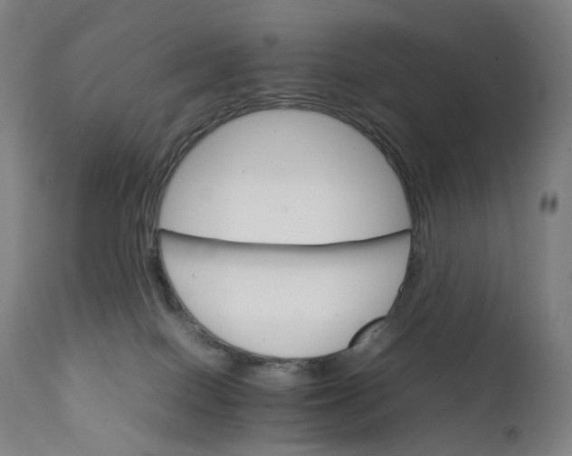 X0000111210086200907151447