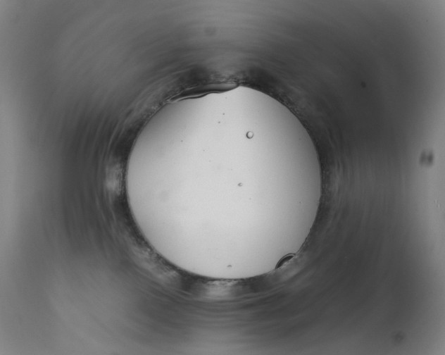 X0000111210090200907151447