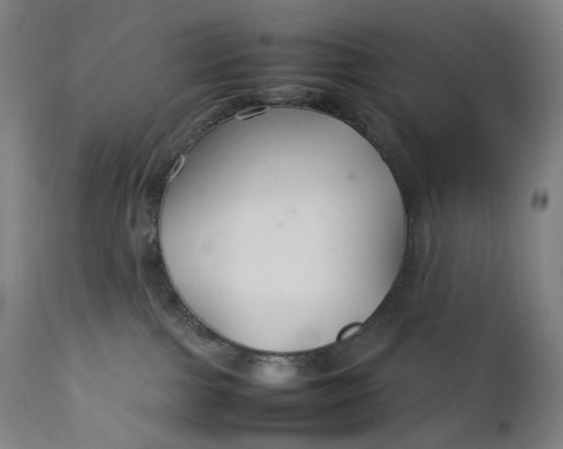 X0000111210091200907151447