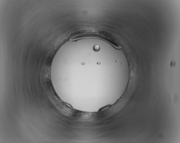 X0000111210096200907151447