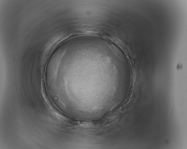 X0000111210097200907151447