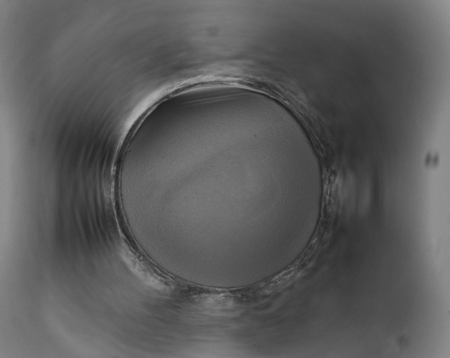 X0000111210100200907151447