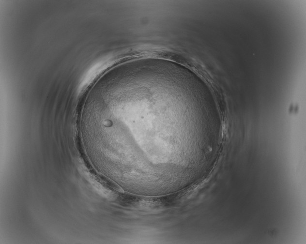 X0000111210101200907151447