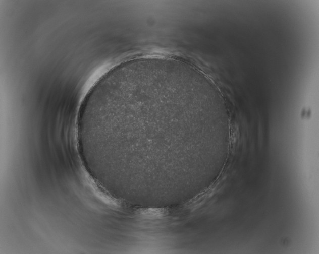 X0000111210102200907151447