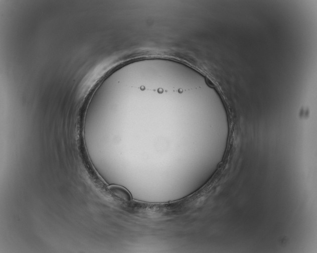 X0000111210103200907151447