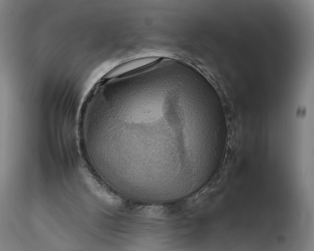 X0000111210104200907151447