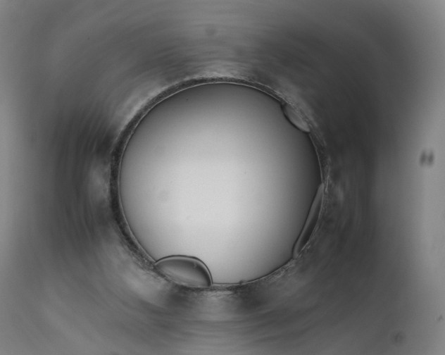 X0000111210108200907151446