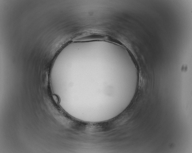 X0000111210109200907151446