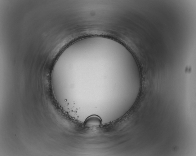 X0000111210111200907151446