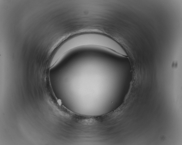 X0000111210112200907151446